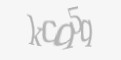Защитный код