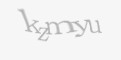 Защитный код